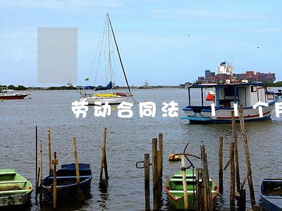 劳动合同法 11个月 劳动合同法 11个月
